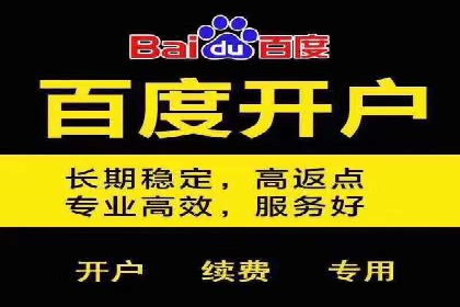 搜索开户返点揭秘：成功案例教你赚钱